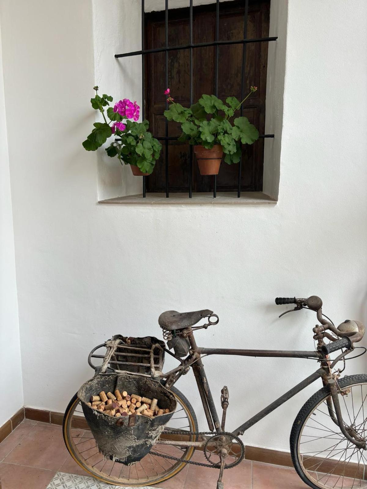 Art Boutique La Casona De Las Flores Ondara Extérieur photo